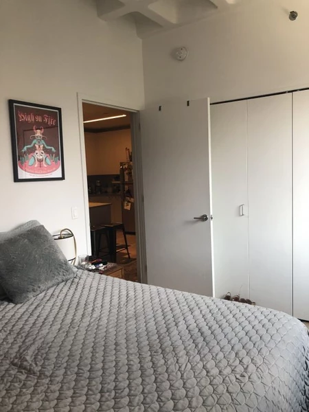 1 bedroom apartment for rent in LIC - Queens, New York