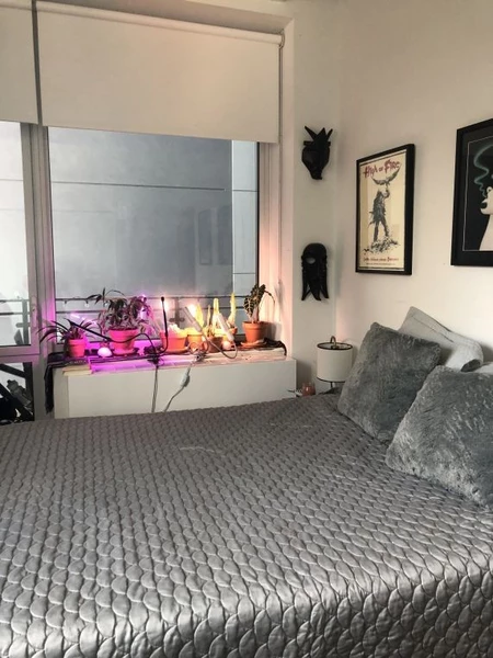 1 bedroom apartment for rent in LIC - Queens, New York