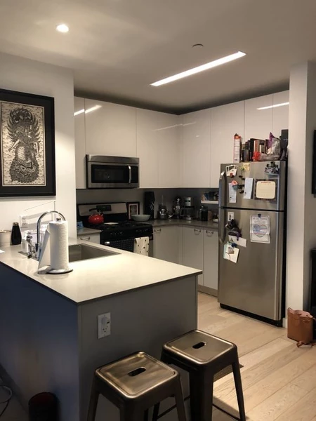1 bedroom apartment for rent in LIC - Queens, New York
