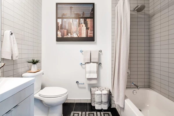 1 bedroom apartment for rent in LIC - Queens, New York