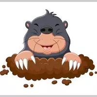 Looking for a roommate in South Bay - San Francisco