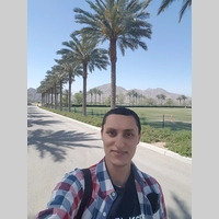 Looking for a roommate in Brooklyn, Manhattan - New York