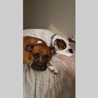 Looking for a roommate