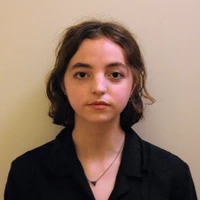 Looking for a roommate in Brooklyn - New York