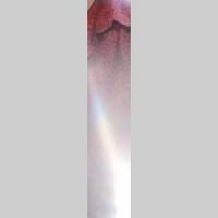 Looking for a roommate