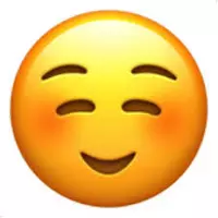 Looking for a roommate in Brooklyn, Manhattan - New York