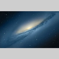 Looking for a roommate