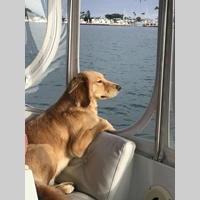 Looking for a roommate in Manhattan - New York