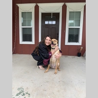 Looking for a roommate