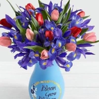 Looking for a roommate