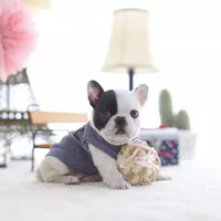 Looking for a roommate