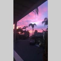 Looking for a roommate