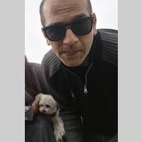 Looking for a roommate