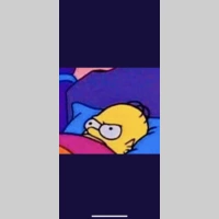 Looking for a roommate