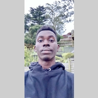 Looking for a roommate