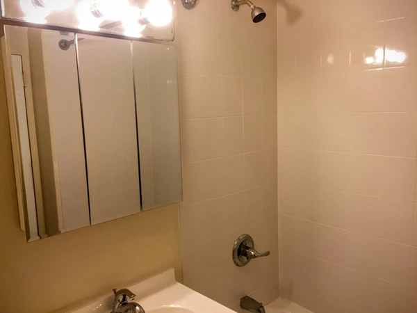 4 bedrooms apartment for rent in Roosevelt Island - Manhattan, New York