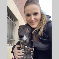 Looking for a roommate