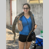 Looking for a roommate