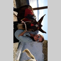 Looking for a roommate