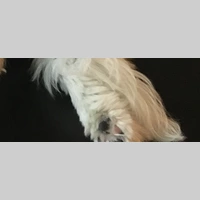 Looking for a roommate