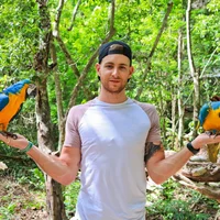 Looking for a roommate