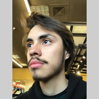 Looking for a roommate