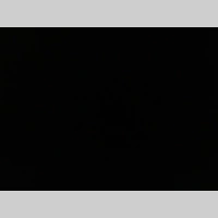 Looking for a roommate