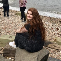 Looking for a roommate