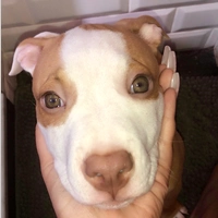 Looking for a roommate in Queens, Manhattan - New York