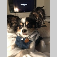 Looking for a roommate in Maryland, Washington Southeast, Washington Northwest, Washington Northeast - Washington DC