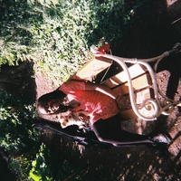 Looking for a roommate in Queens, Brooklyn, Manhattan - New York