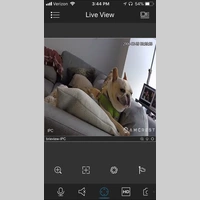 Looking for a roommate in Brooklyn, Manhattan - New York