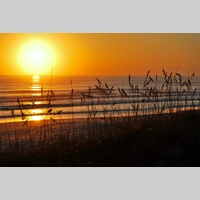 Looking for a roommate in North SD, Coastal - San Diego