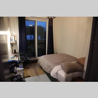 Looking for a roommate