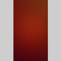 Looking for a roommate in Metro Area, Boston - Boston