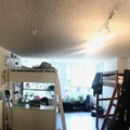 Room for rent in Lower Nob Hill #2