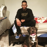 Looking for a roommate in Central Los Angeles, The Verdugos, Southeast, San Fernando Valley, The Harbor, Westside / South Bay - Los Angeles