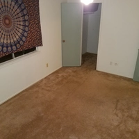 Looking for a roommate
