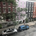 Room for rent in Greenwich Village #1