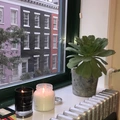 Room for rent in Greenwich Village #8