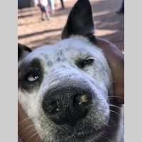 Looking for a roommate in Miami - Miami