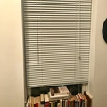 Room for rent in Williamsburg #2