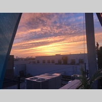 Looking for a roommate in Jersey City / Hoboken, Brooklyn, Manhattan - New York