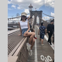 Looking for a roommate in Jersey City / Hoboken, Brooklyn, Manhattan - New York