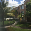 Room for rent in Coral Gables #8
