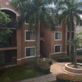 Room for rent in Coral Gables #7