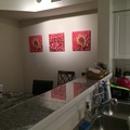Room for rent in Coral Gables #16