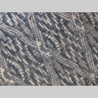 Looking for a roommate