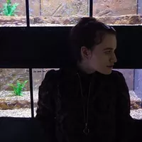 Looking for a roommate in Jersey City / Hoboken, The Bronx, Staten Island, Queens, Brooklyn, Manhattan - New York