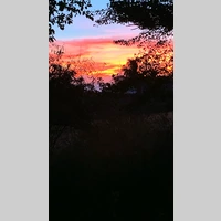 Looking for a roommate in Central Los Angeles, San Fernando Valley - Los Angeles